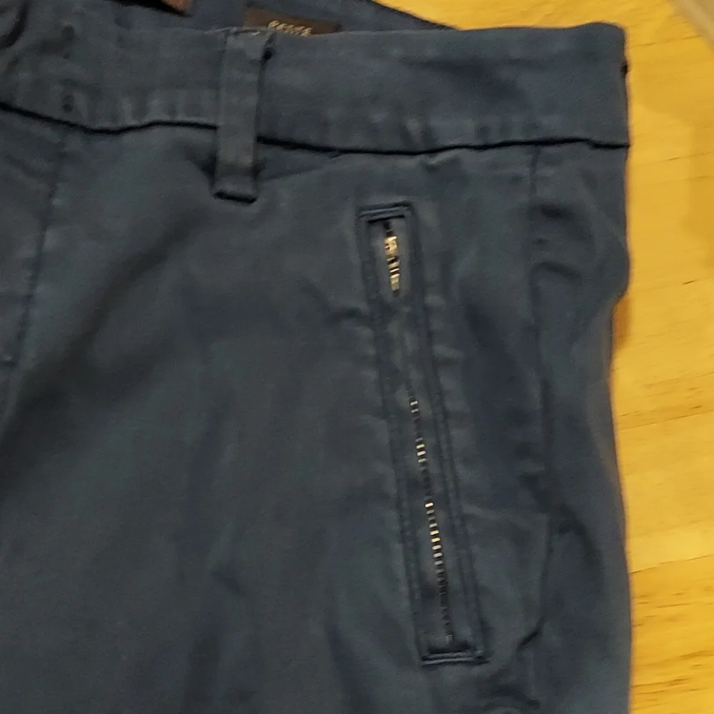 Level 99 Francis Lacey Double Welt Zip Blue Cropped Pants 29P